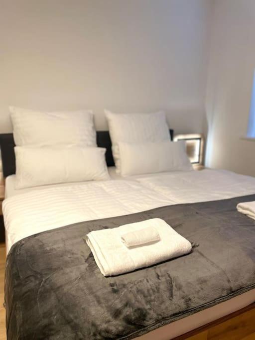Terra Homes -Gemuetliche Wohnung ハノーファー エクステリア 写真